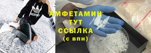 молекула духа Елизово