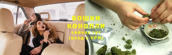 молекула духа Елизово