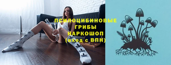 молекула духа Елизово