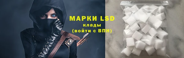 прущая мука Ельня