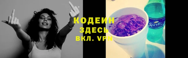 прущая мука Ельня
