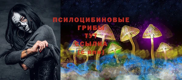 прущая мука Ельня