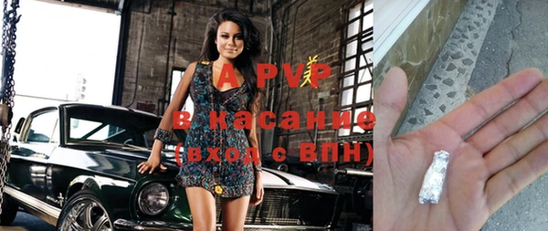молекула духа Елизово