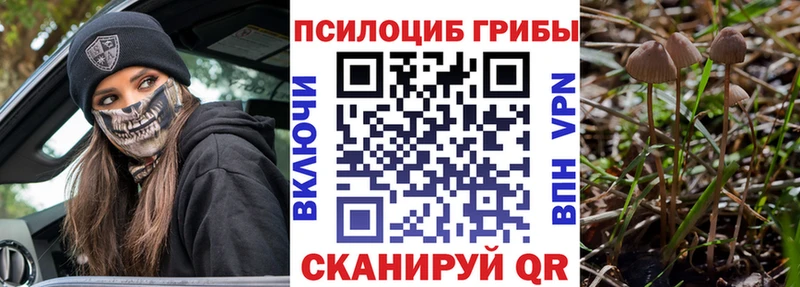 omg сайт  хочу   Саяногорск  Галлюциногенные грибы MAGIC MUSHROOMS 