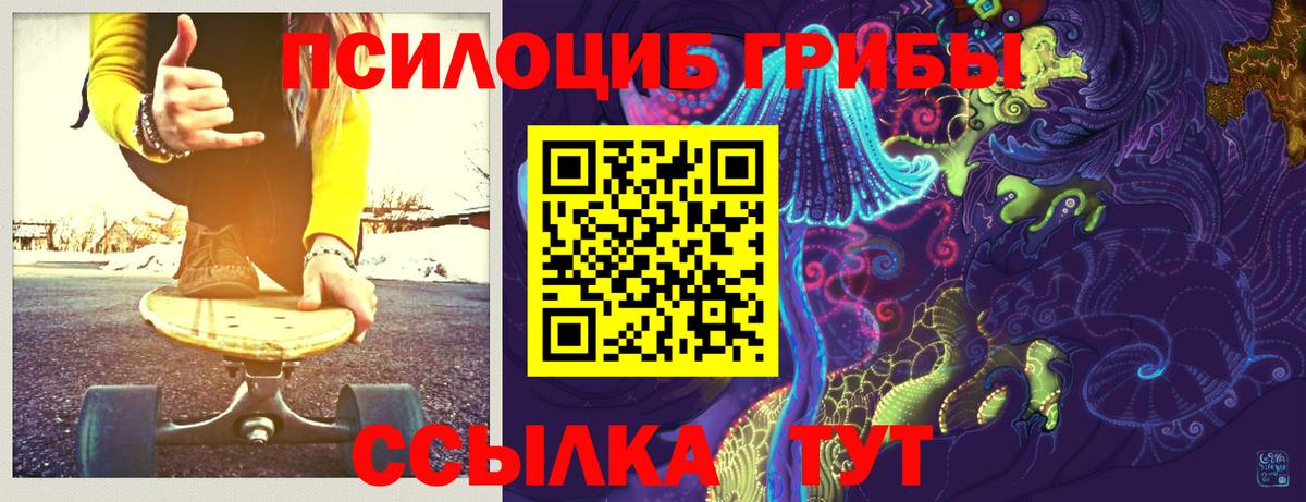 Саяногорск  цены   Вход с VPN  Галлюциногенные грибы прущие грибы  Галлюциногенные грибы Psilocybe 
